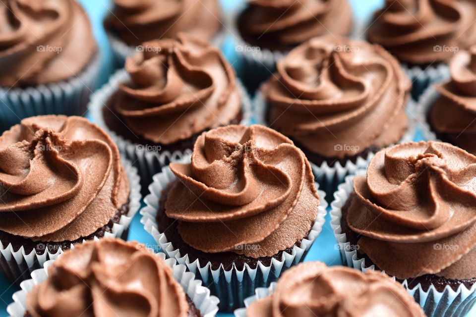 Chocolate cupcakes 