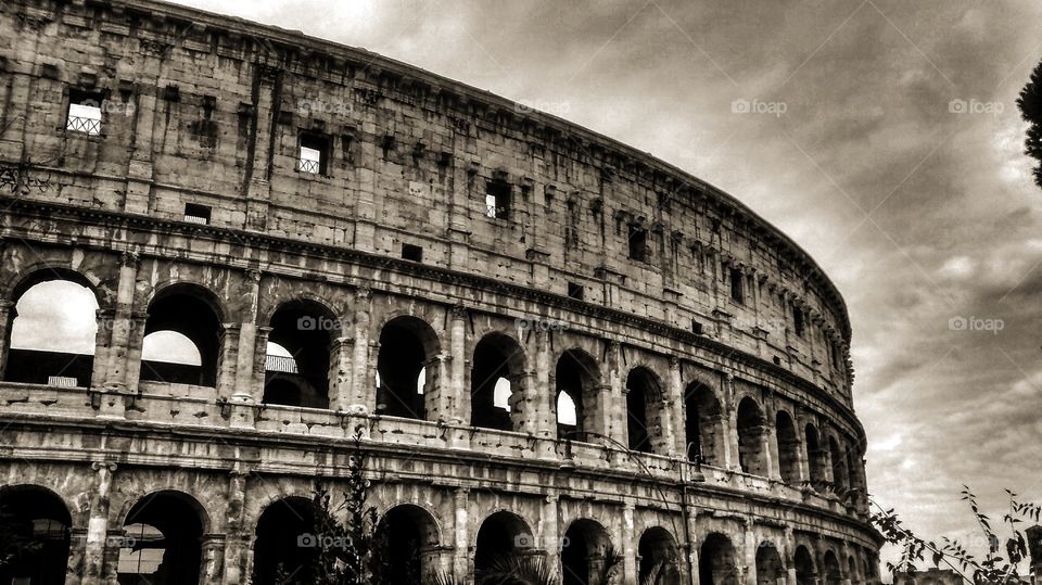 Coliseum. Rome, italy