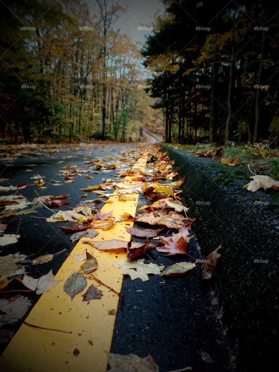 Northern Michigan 