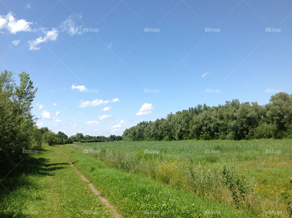 landscape field nature grass by lexlebeur