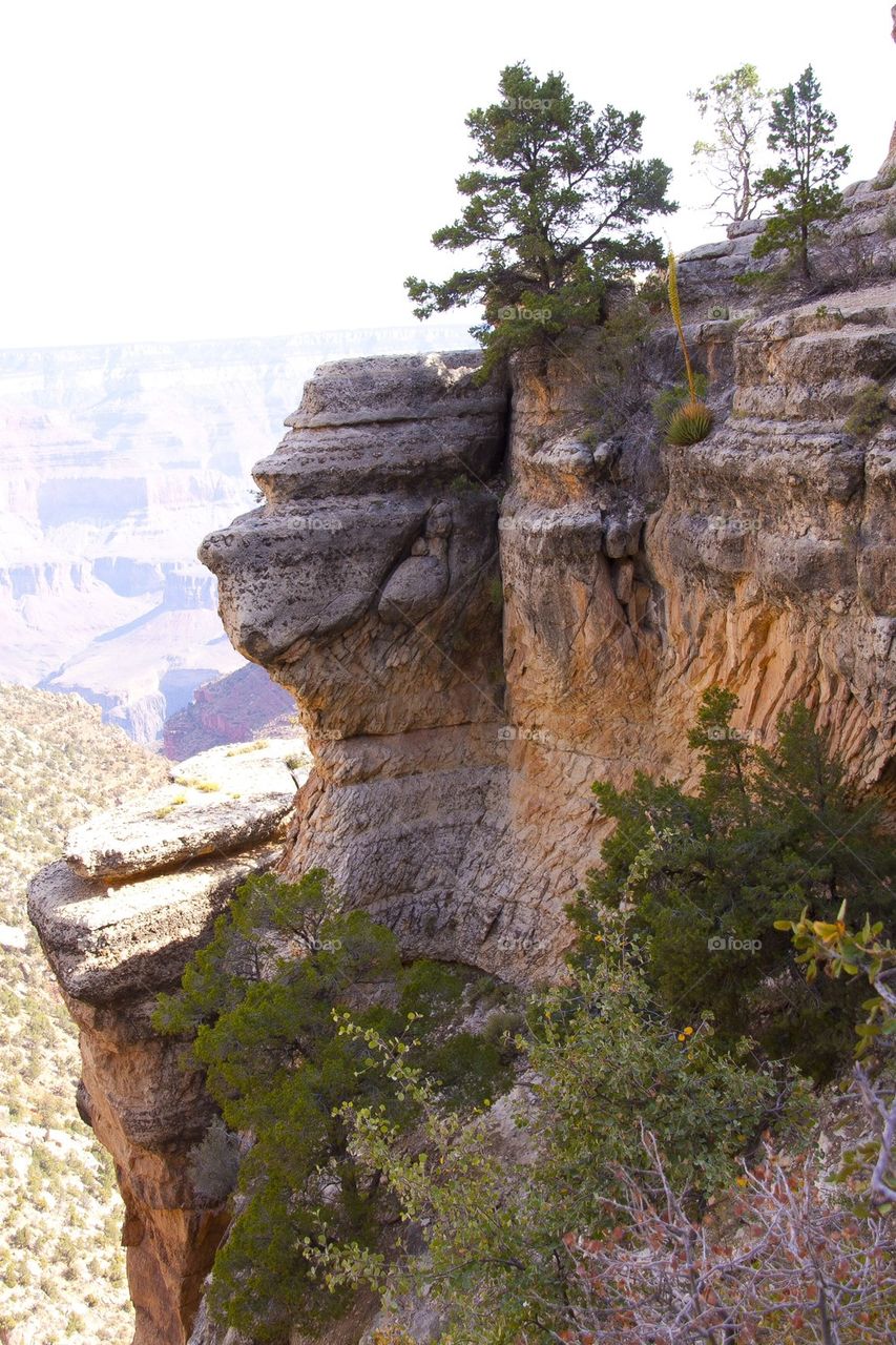 GRAND CANYON, ARIZONA THE GRAND CANYON NATIONAL PARK