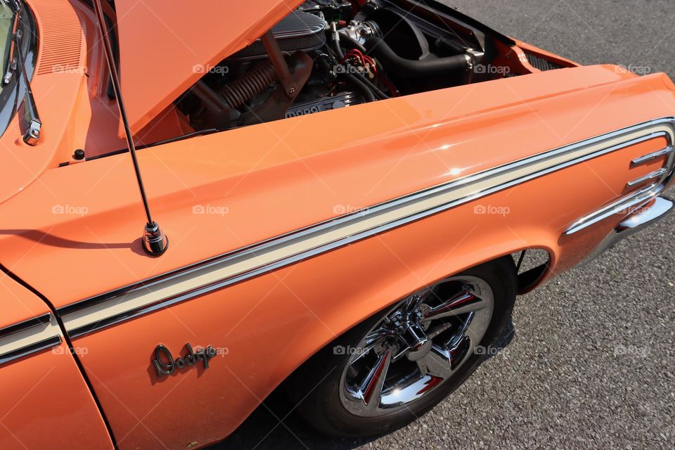 Orange Dodge