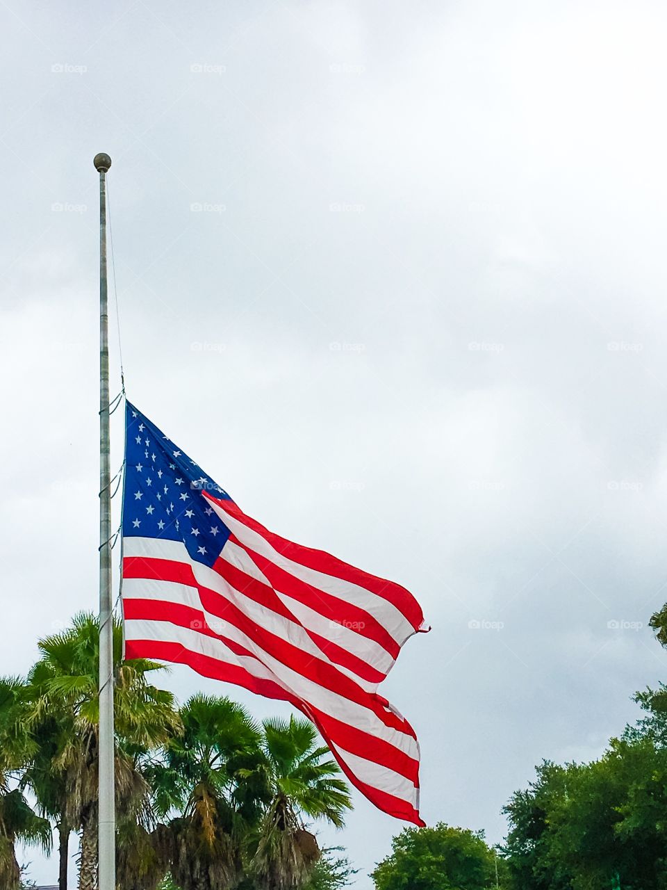 American flag on pole with trees