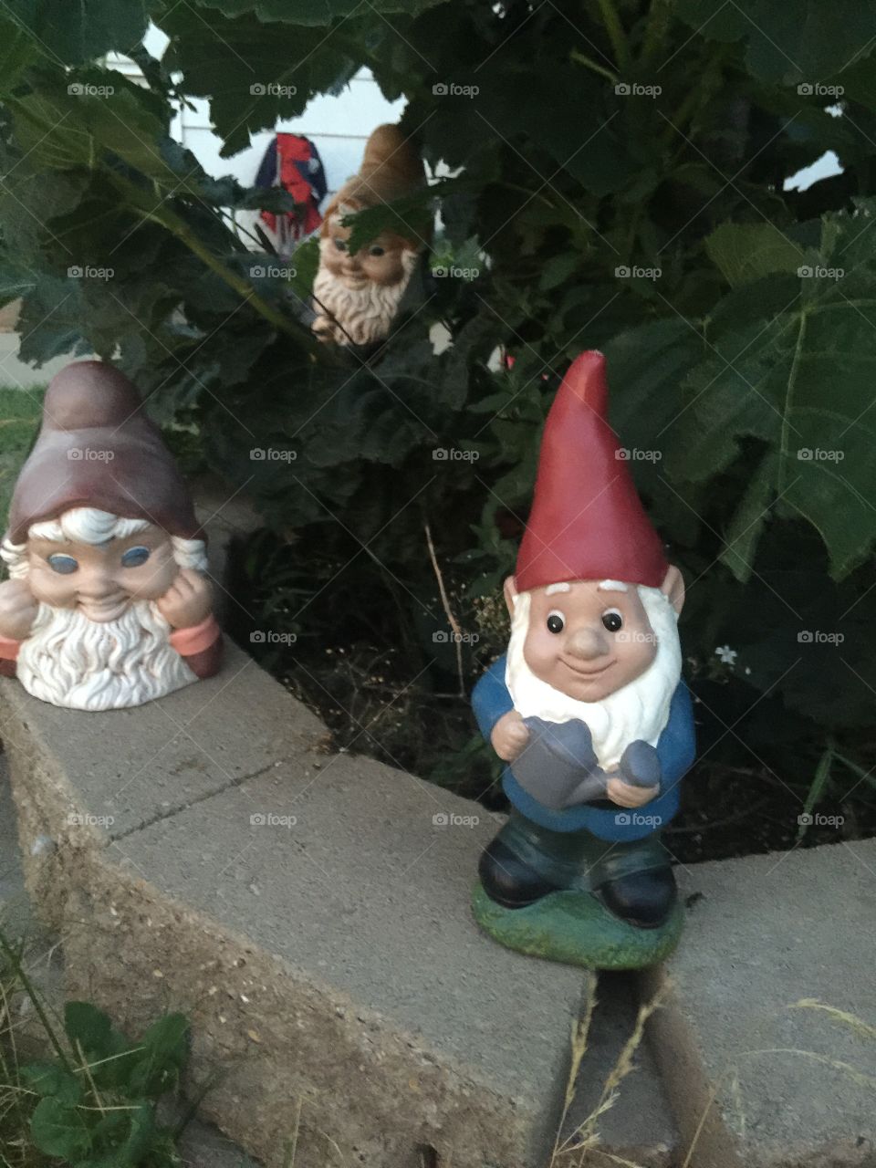 Garden Gnomes 