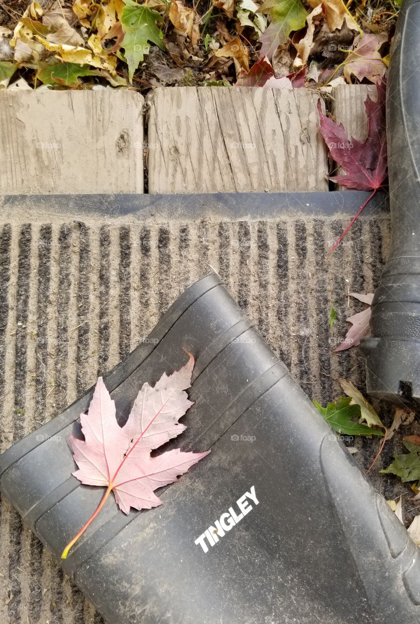 Tingley mud boots left on porch with fall leaves on them.