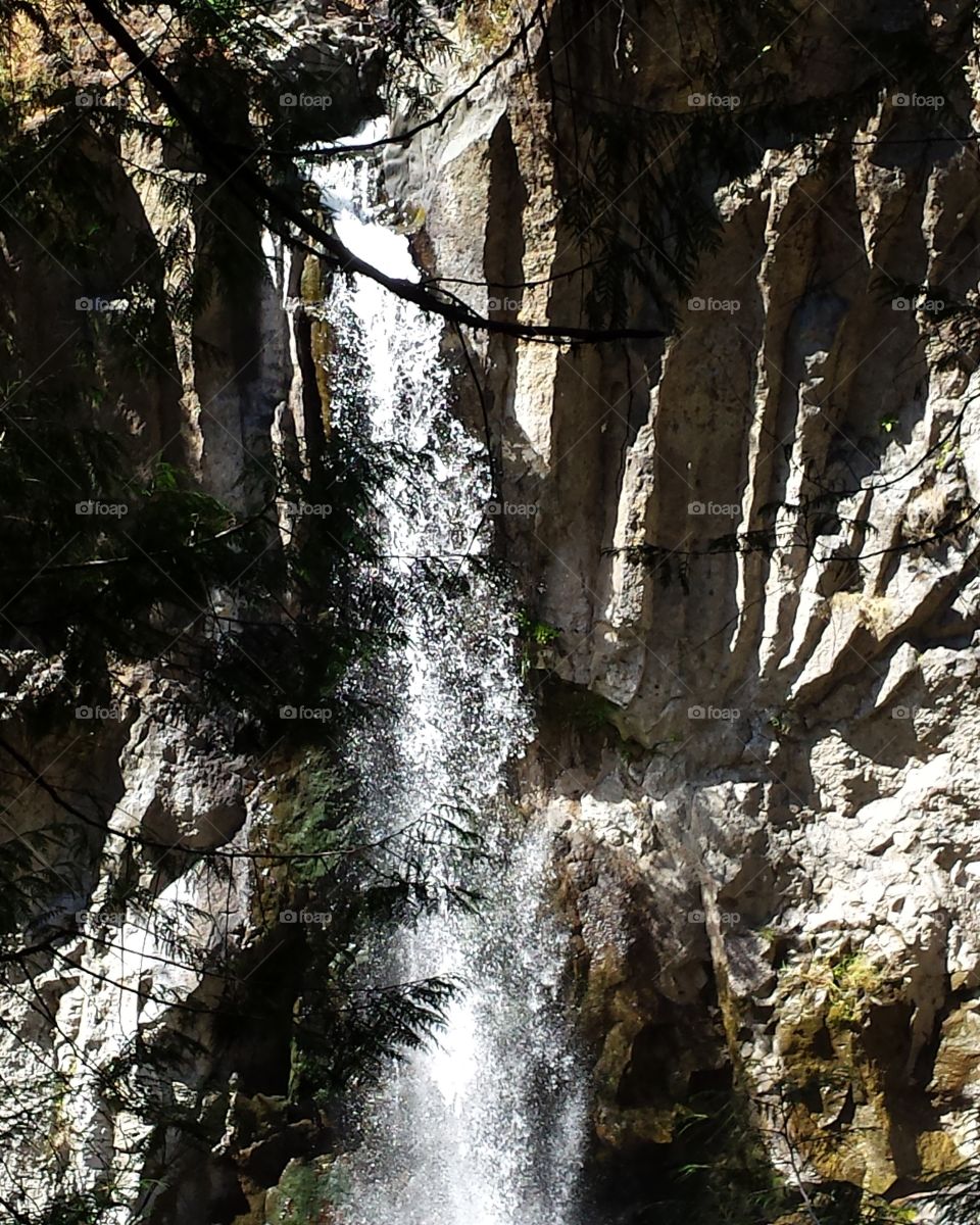 Oregon water fall