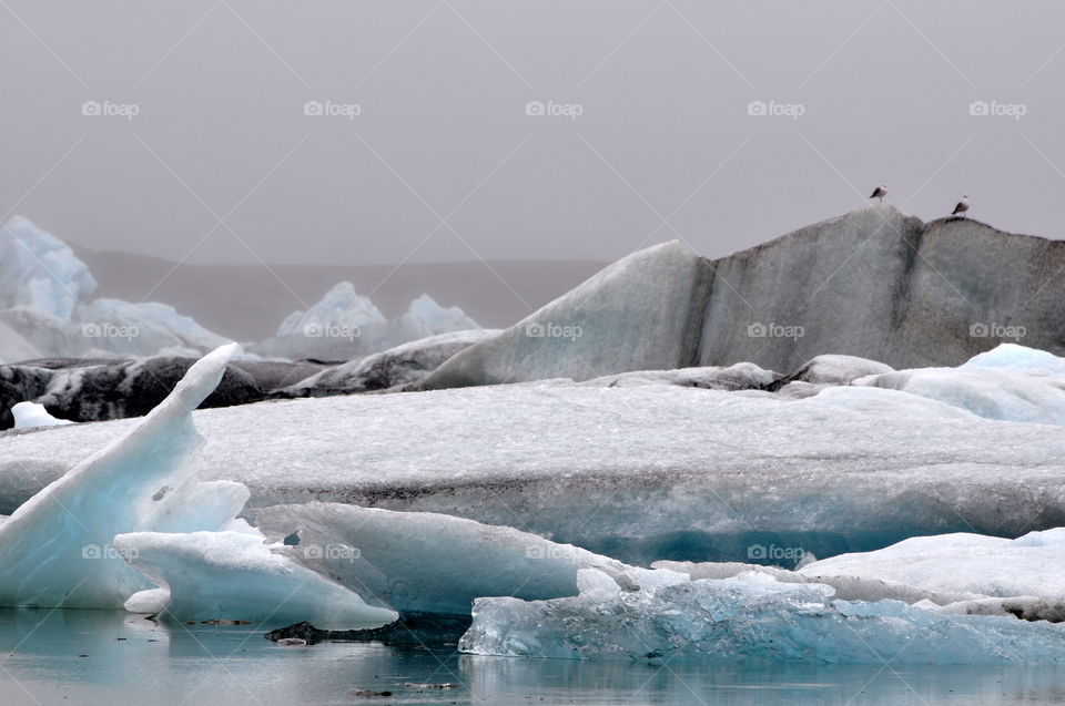 Iceberg, Ice, Snow, Melting, Water