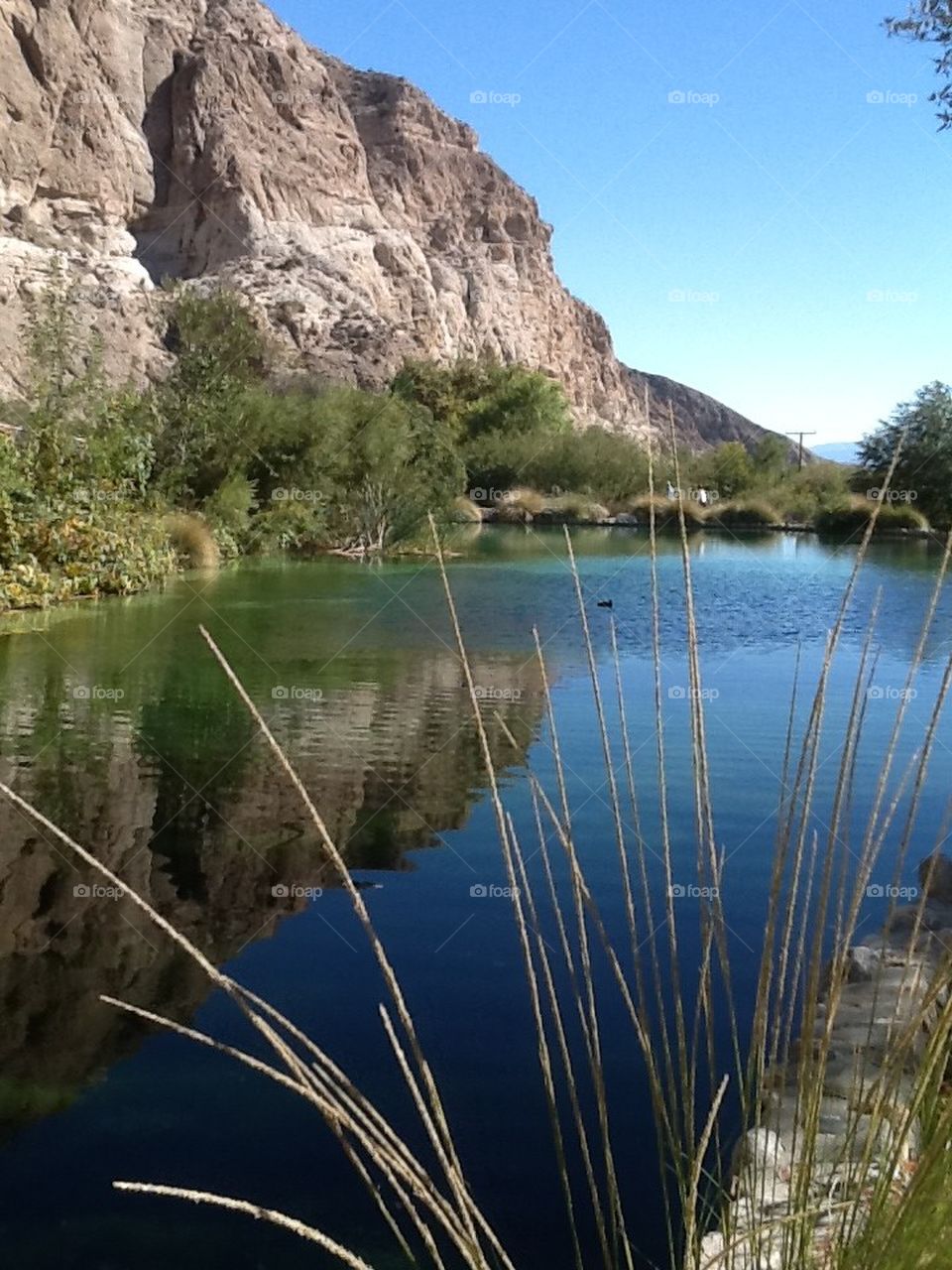 The Mountain's Lake