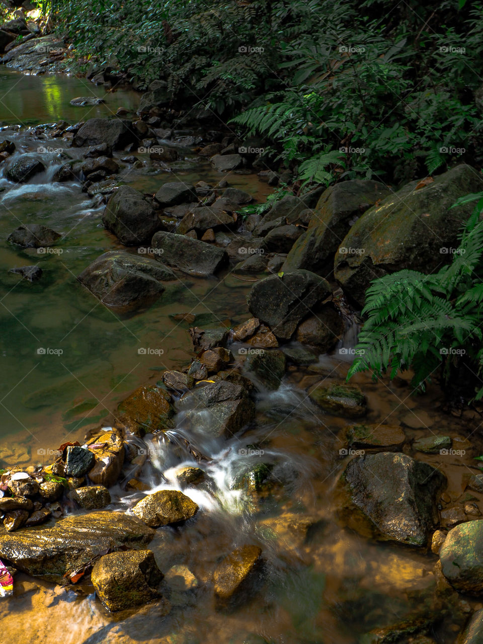 A small stream from Gunung Pulai (Pulai mountains ) located at southeast of malaysia, Johor bahru