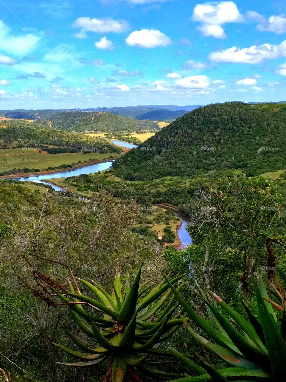 Mansfield view
