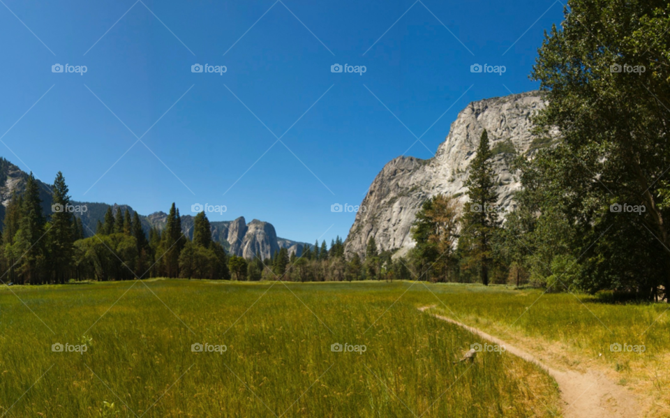 green field meadow grass by stephenkirsh