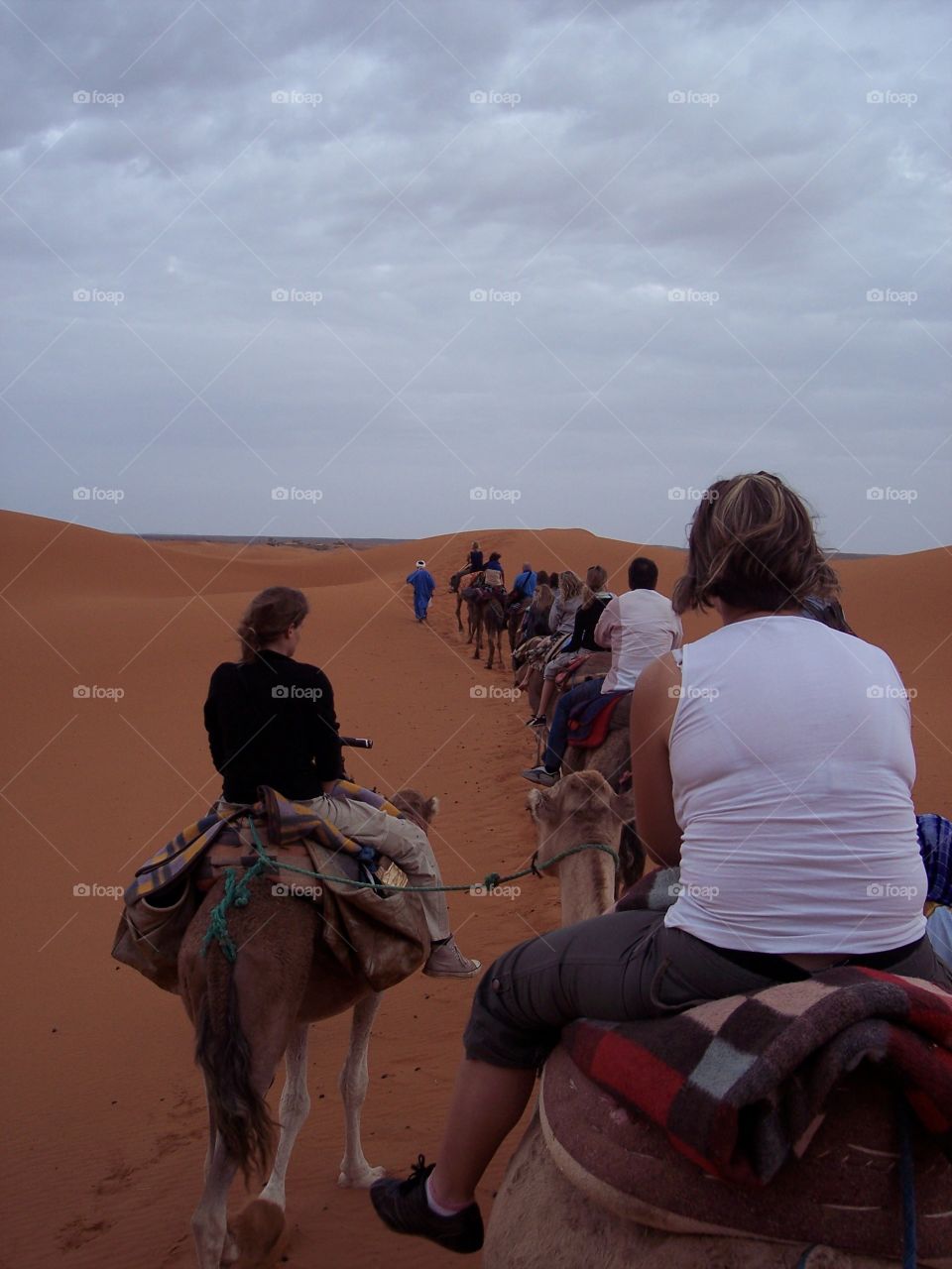 Camel caravan in the Moroccan desert