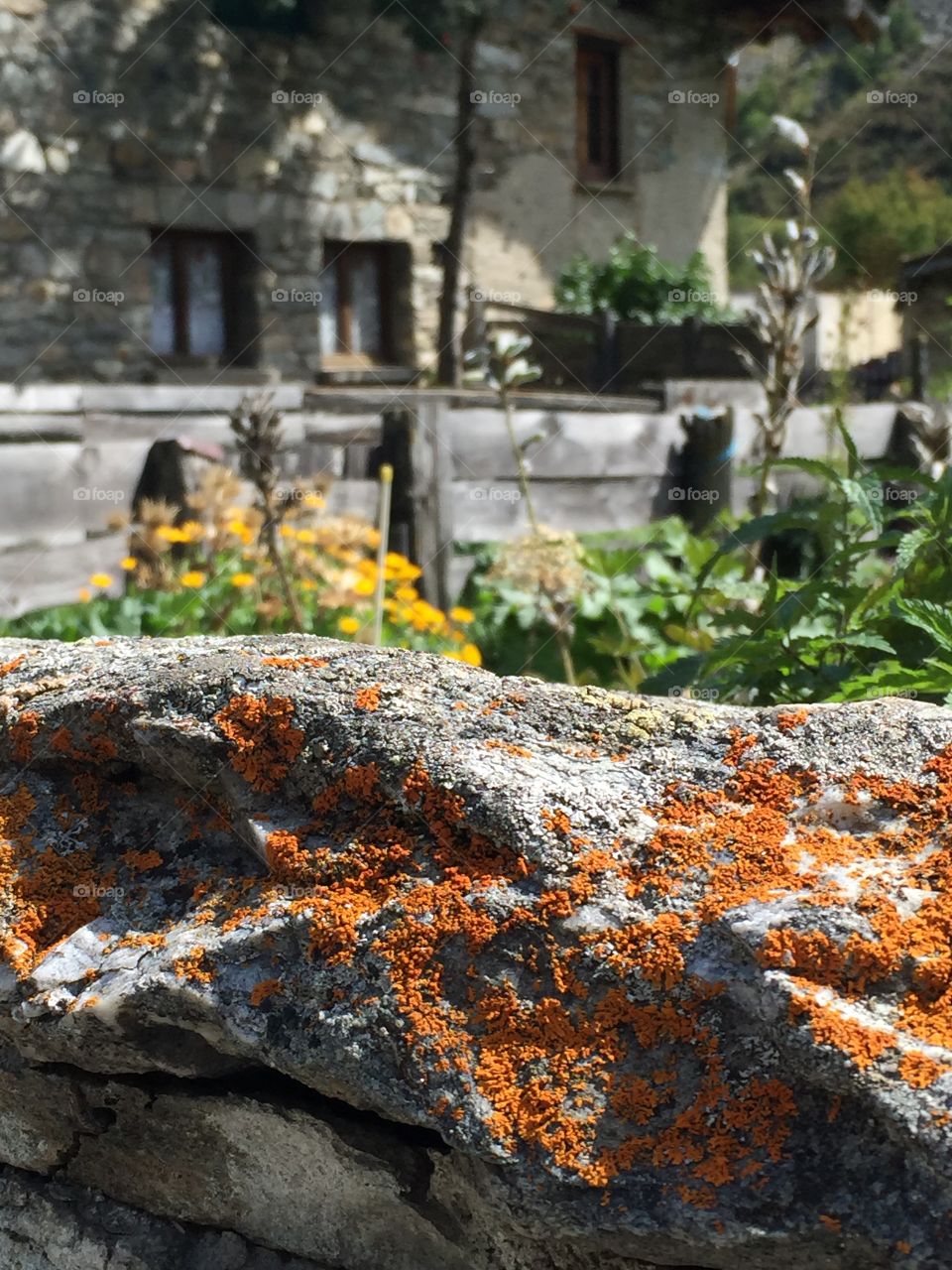 Bonneval Garden Wall