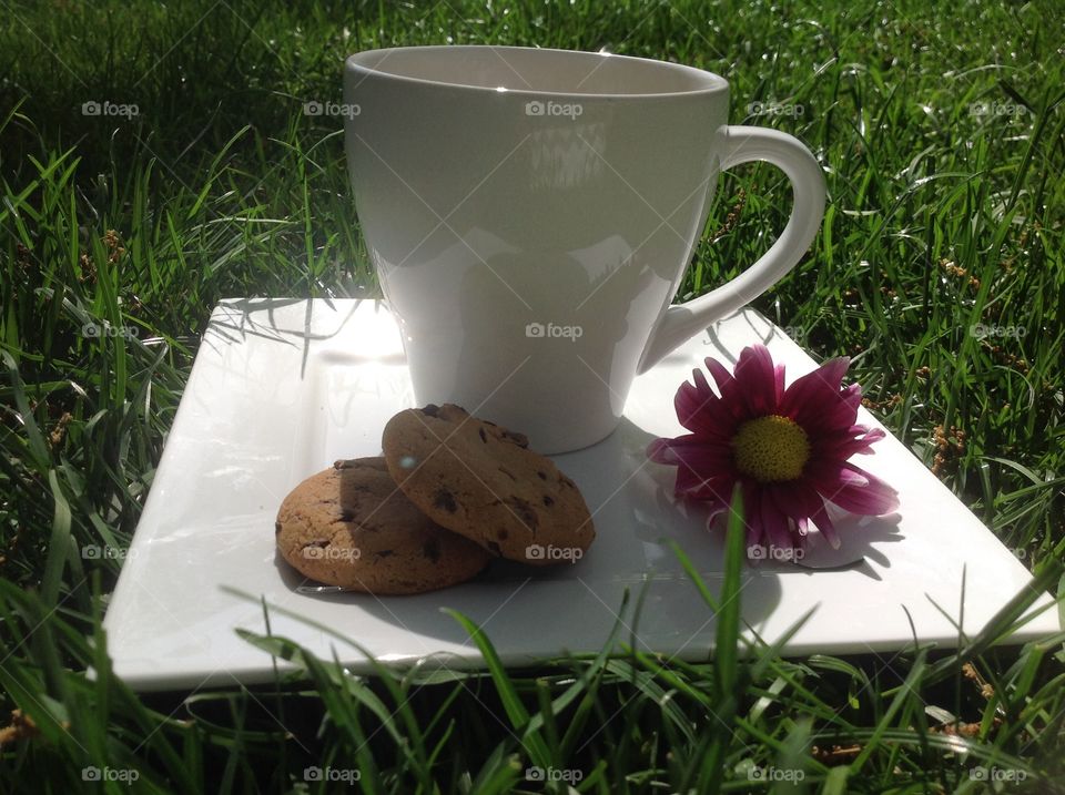 Enjoying a cup of coffee outdoors on a beautiful spring day.