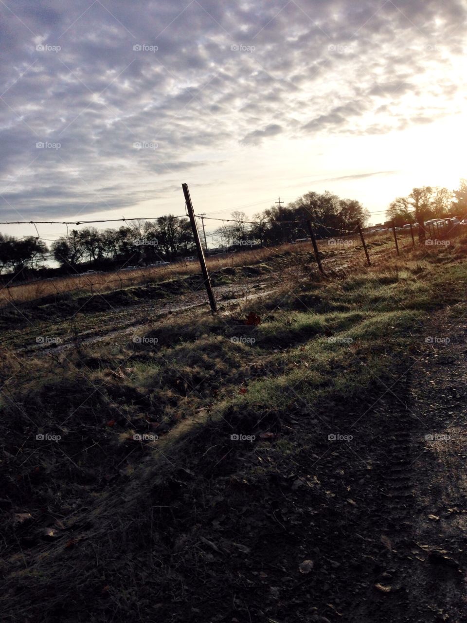 Golden Fence