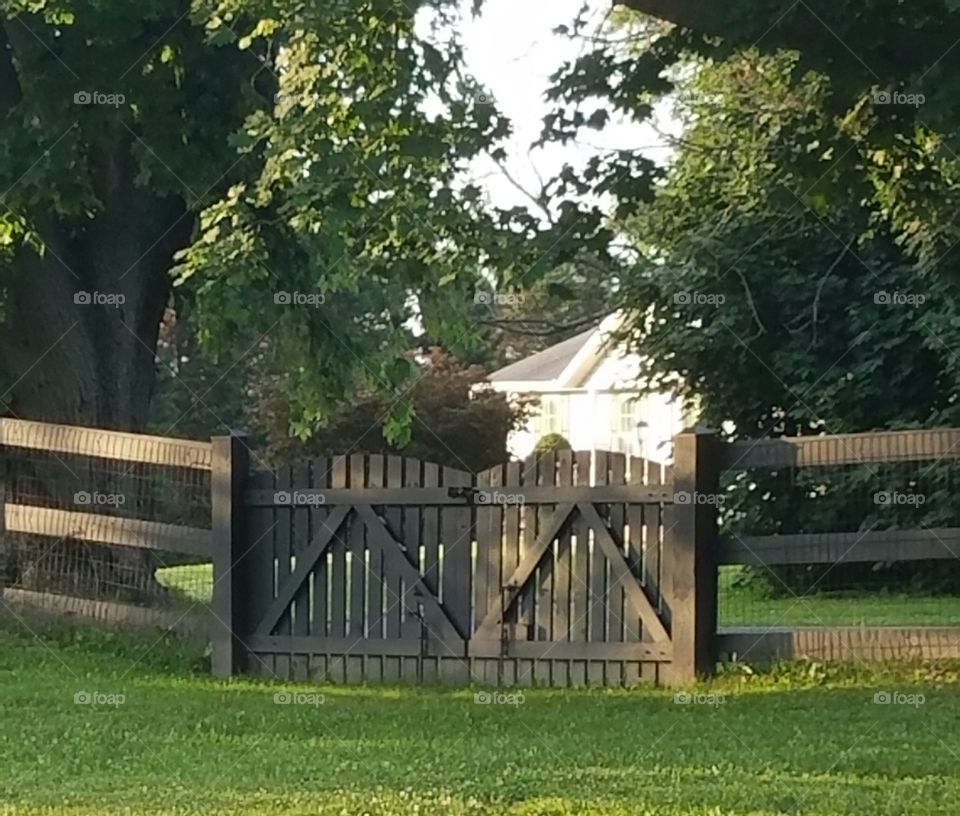 Country gate in the morning.