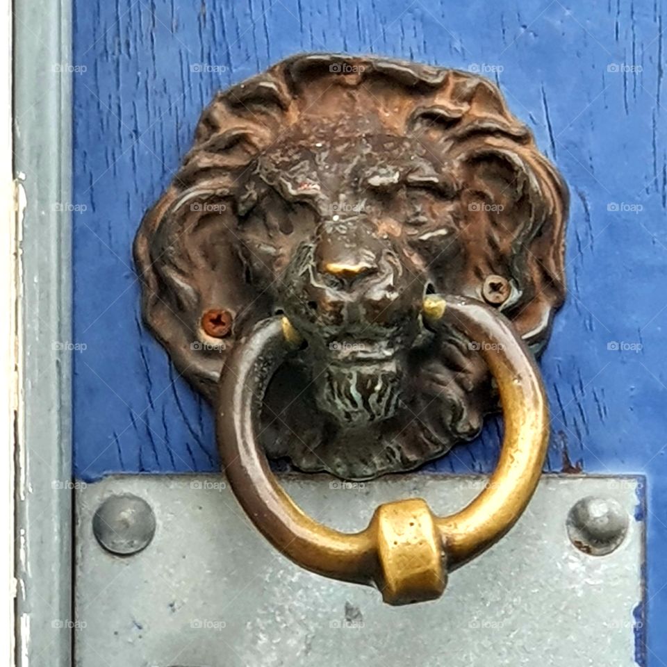 Knob knock door lion the Netherlands