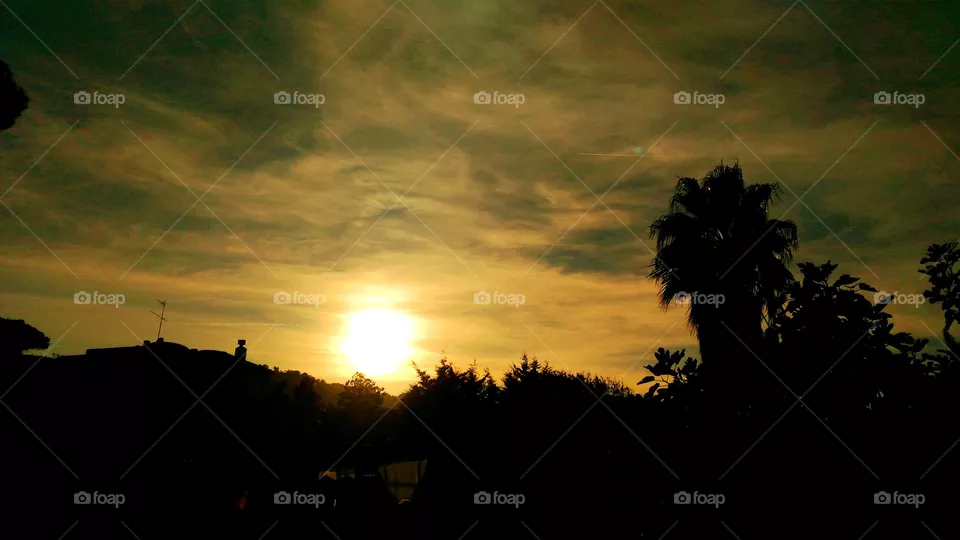 The golden tones of the sunset and a palm tree in the village of Panza on the Italian Island of Ischia