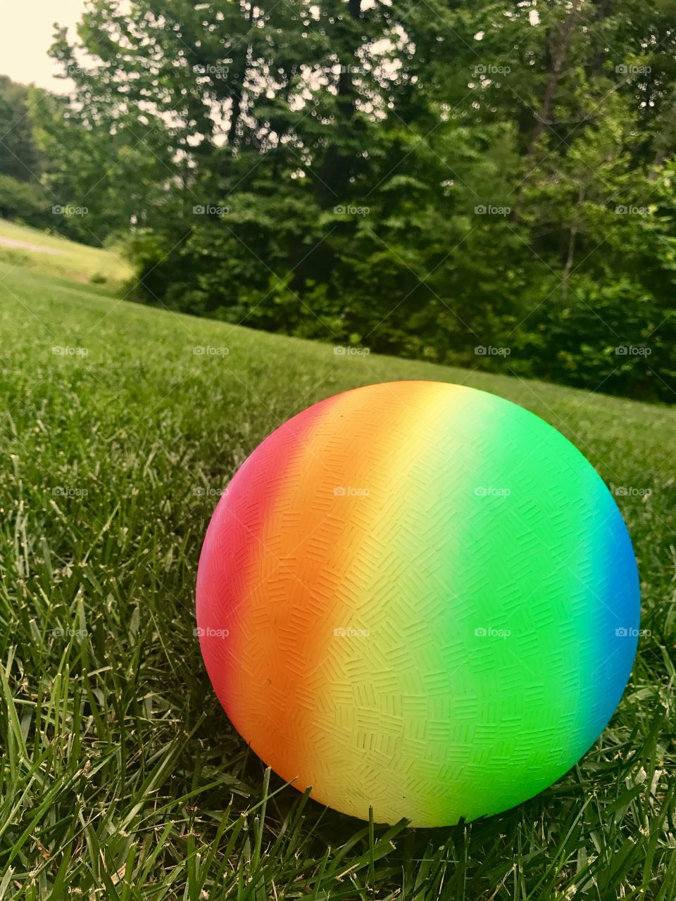 Colorful Ball on Lawn