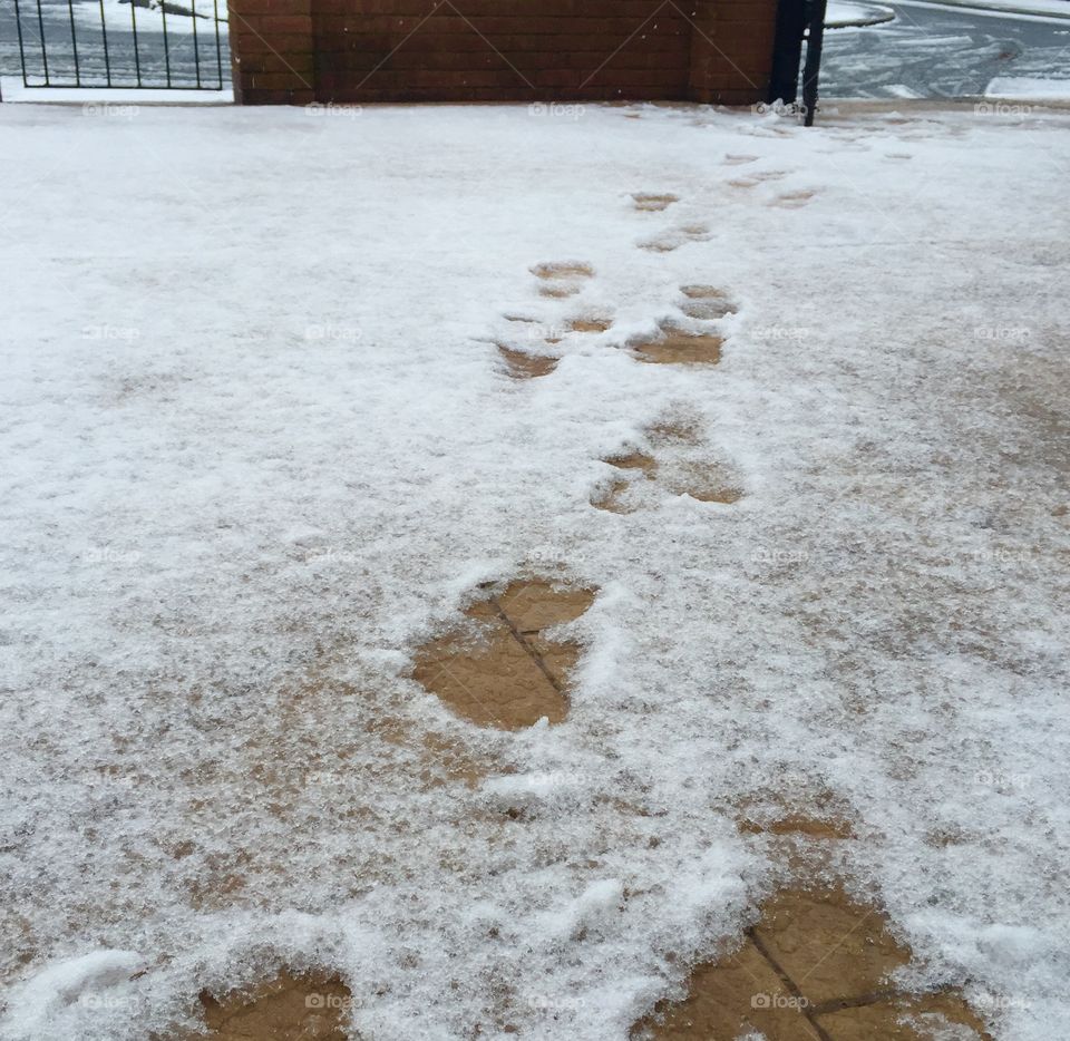 Footprints in the snow 