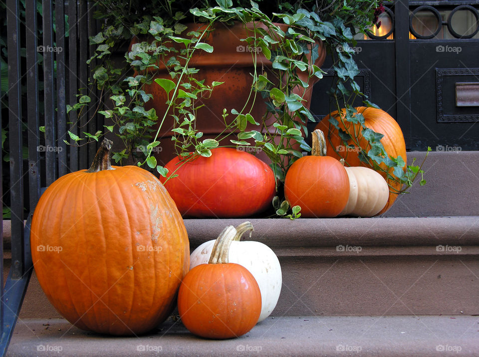 A Fall/Halloween display of Pumpkins 