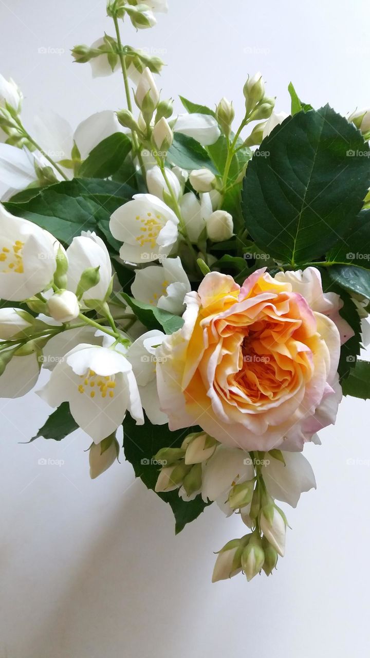 tea rose and jasmine branch in a blue cobalt vase with green jasmin's leaves colours white peach green pale pink orange yellow