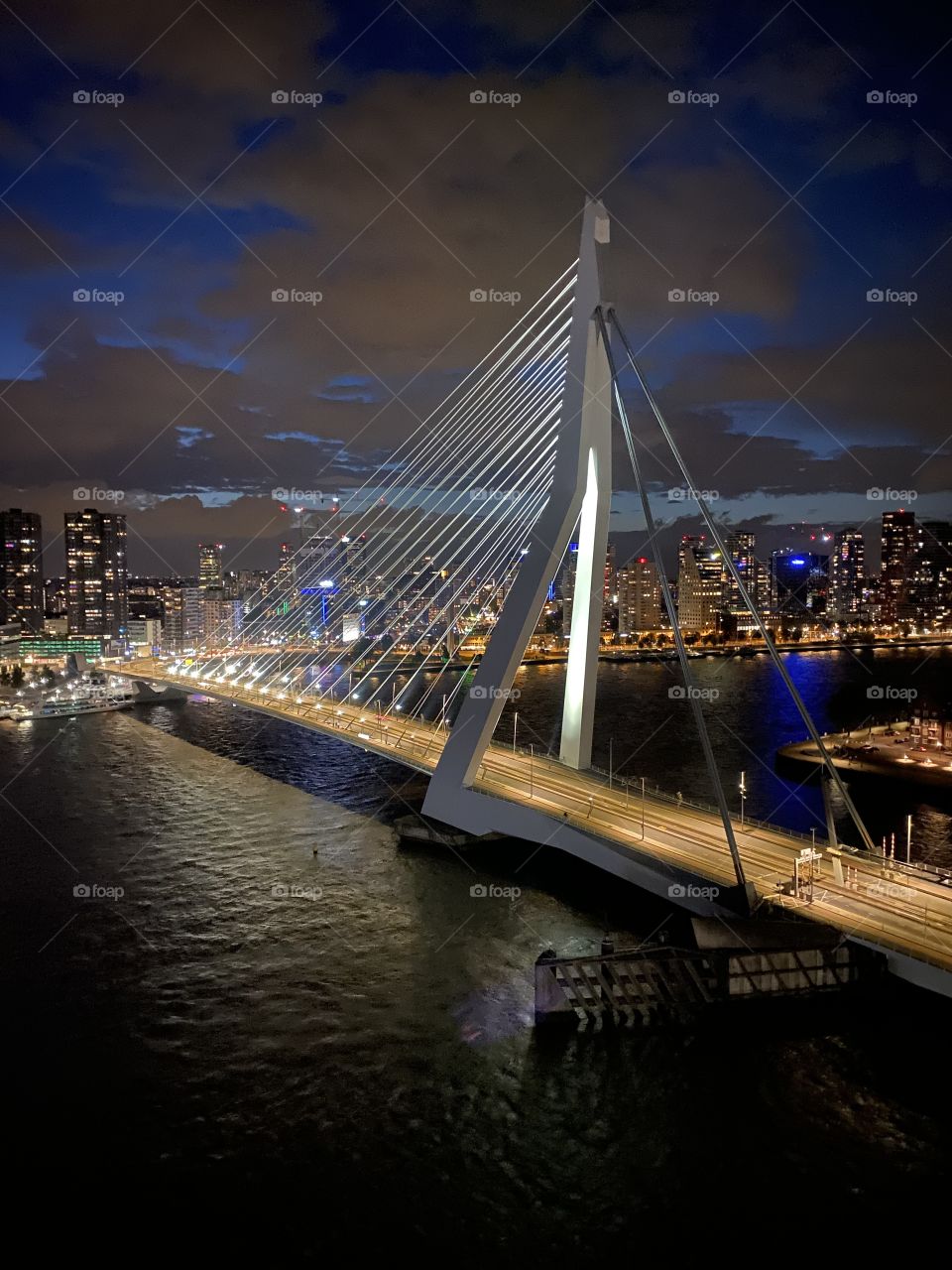 Sightseeing in the Netherlands| Erasmusbridge