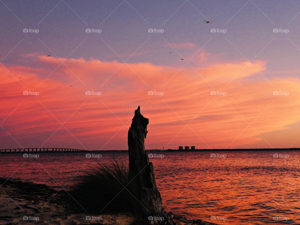 A magnificent sunset with a silhouette of driftwood that was washed onto the beach by the action of winds, and waves.