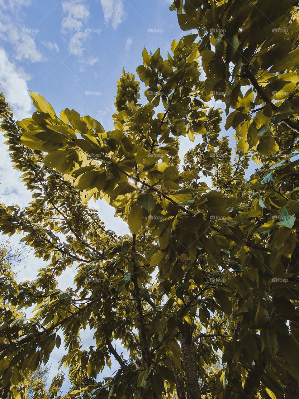 Dare to be different.  Each color in this photo will be experienced differently by each of us.  How beautiful life is.  Is it?