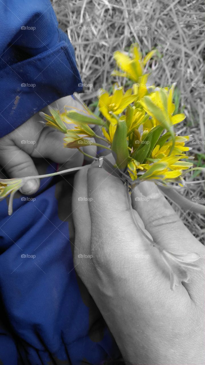 flowers and hands