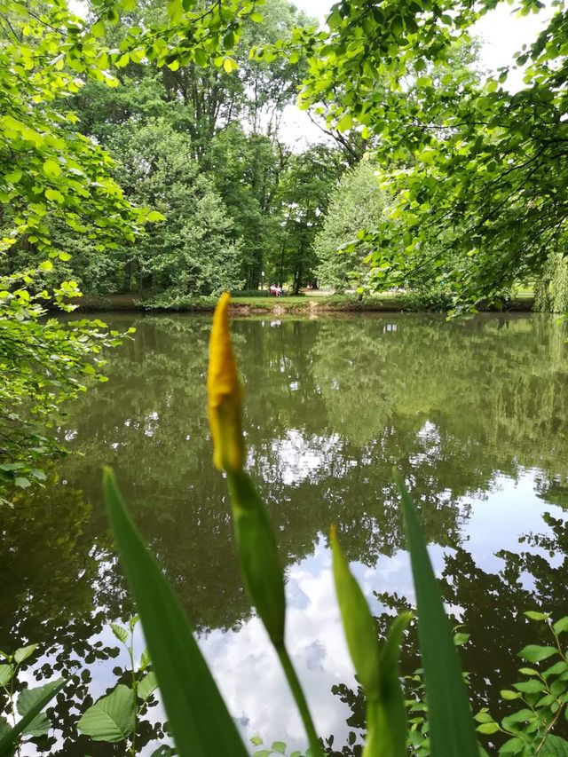 lake