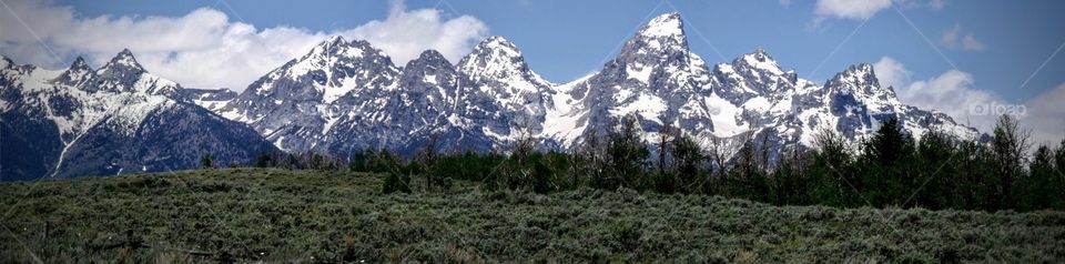 Grand Tetons