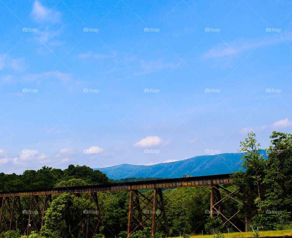 Train Trestle