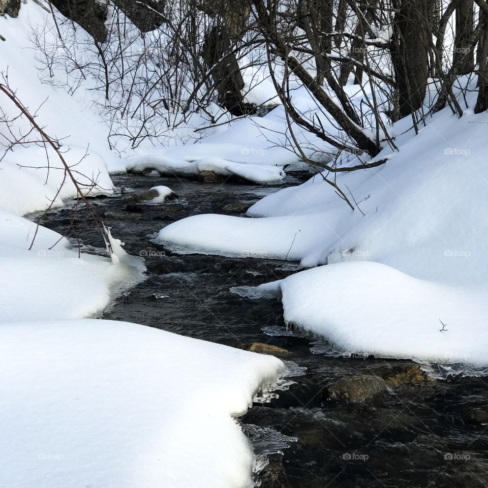 Nature Winter Landscape - Snow & Water