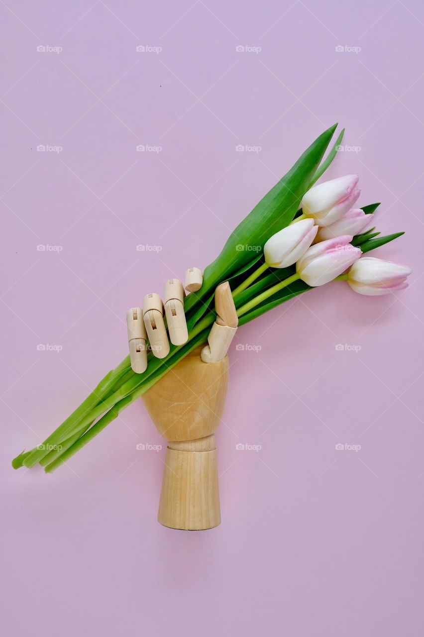 Wooden hand holding a bunch of soft pink tulips isolated on pink background.