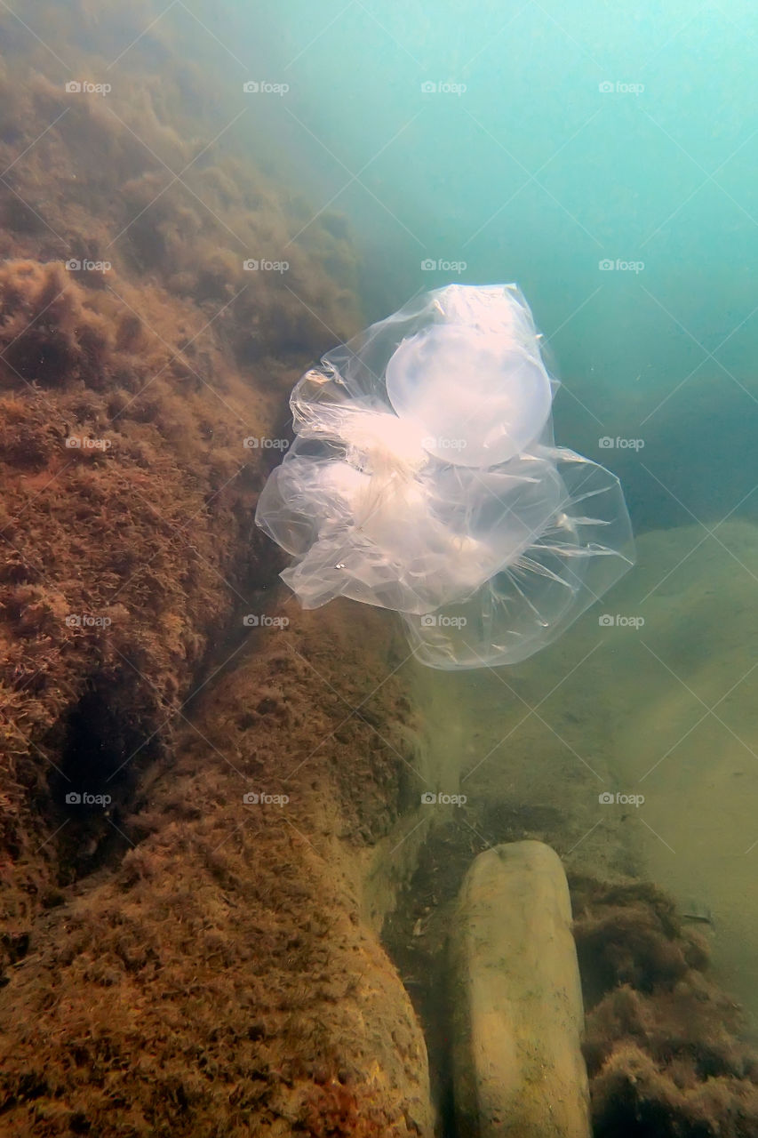 underwater plastic bag UFO mystical bubbles ring and jellyfish