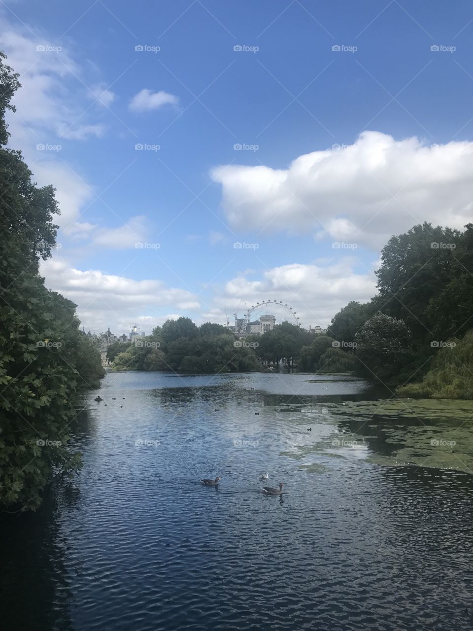 St James park near Buckingham Palace with the London Eye in the background 