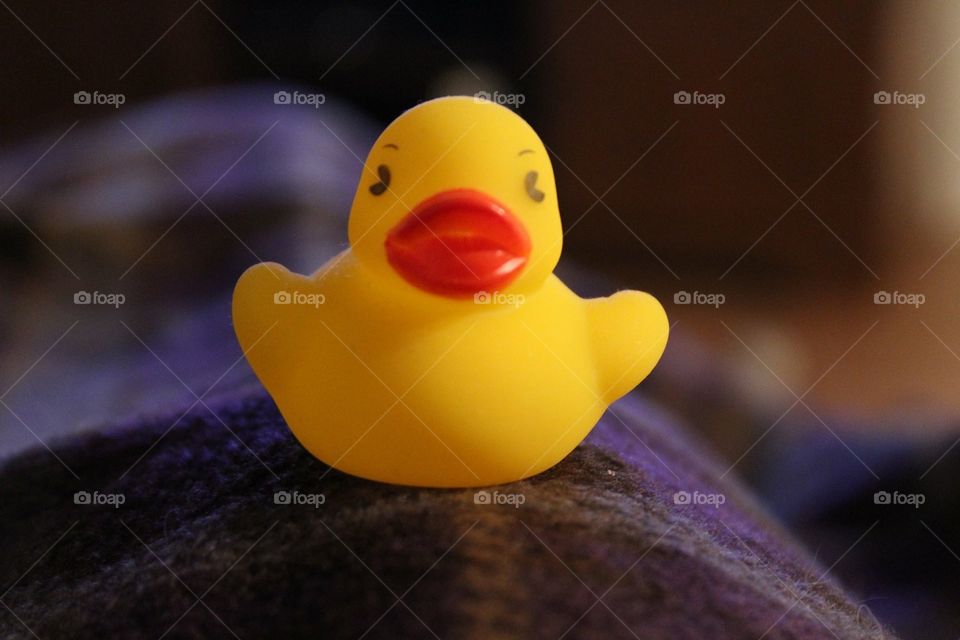 Ducky