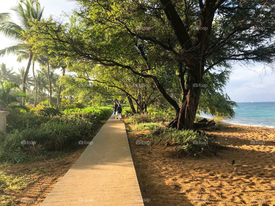 Maui boardwalk