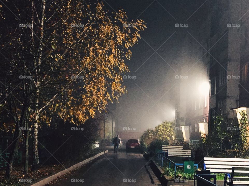 Foggy fall night