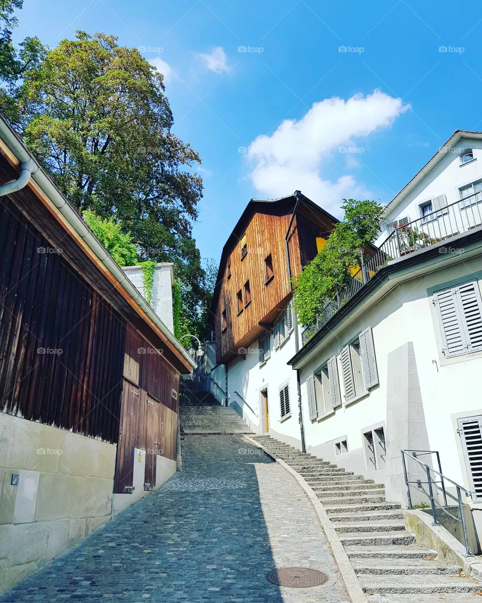 swiss landscape