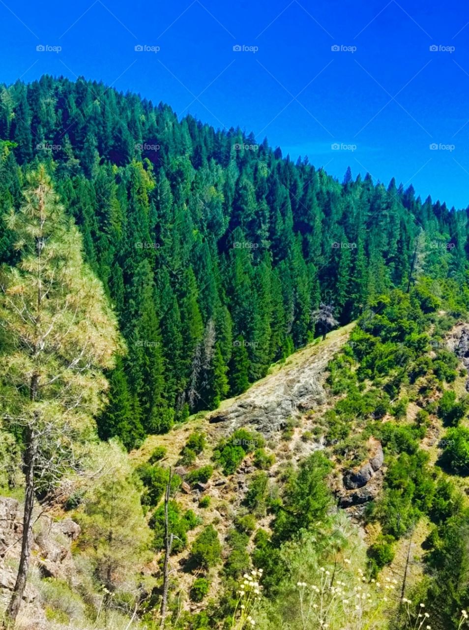Feather River Canyon