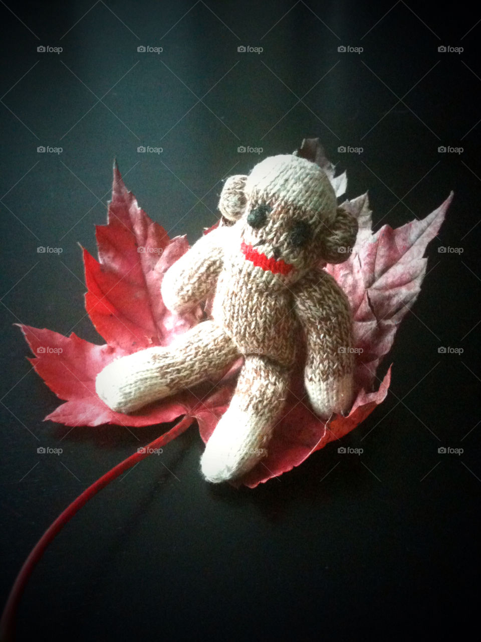 Sock Monkey Rides Into Fall