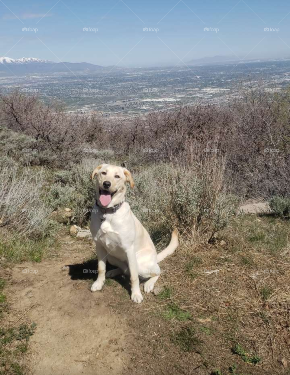 good girl on hike