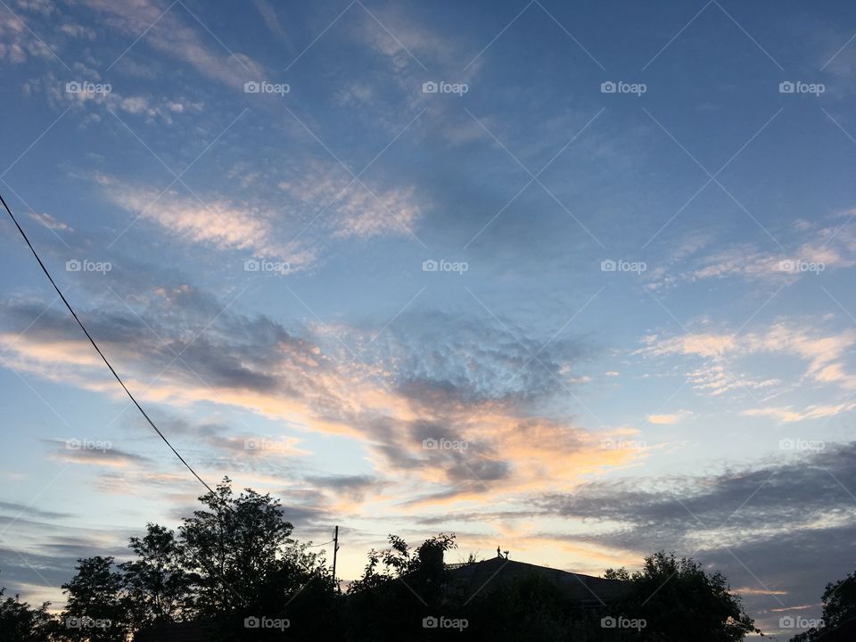 Sky