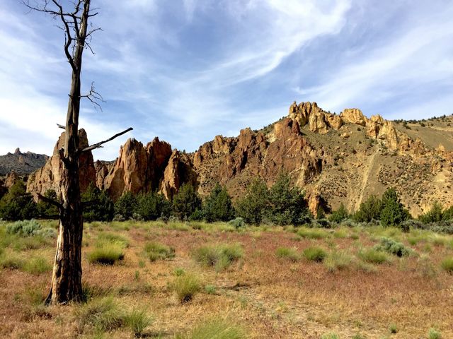 The jagged rocks of Smith Rock State Park contrasted against a dramatic blue sky and a dead tree in the foreground on a sunny day. 