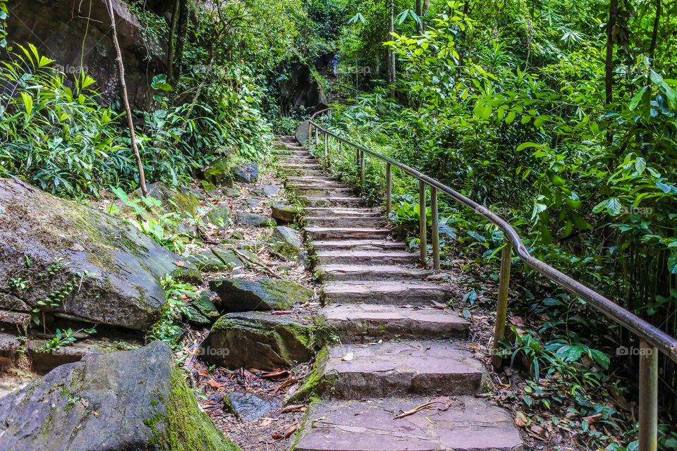 Stairs in the forest