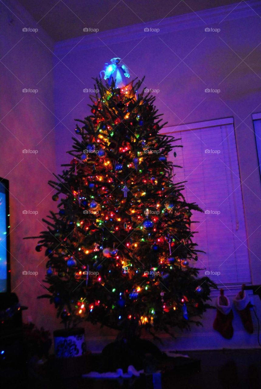 our gorgeous 10 ft christmas  tree