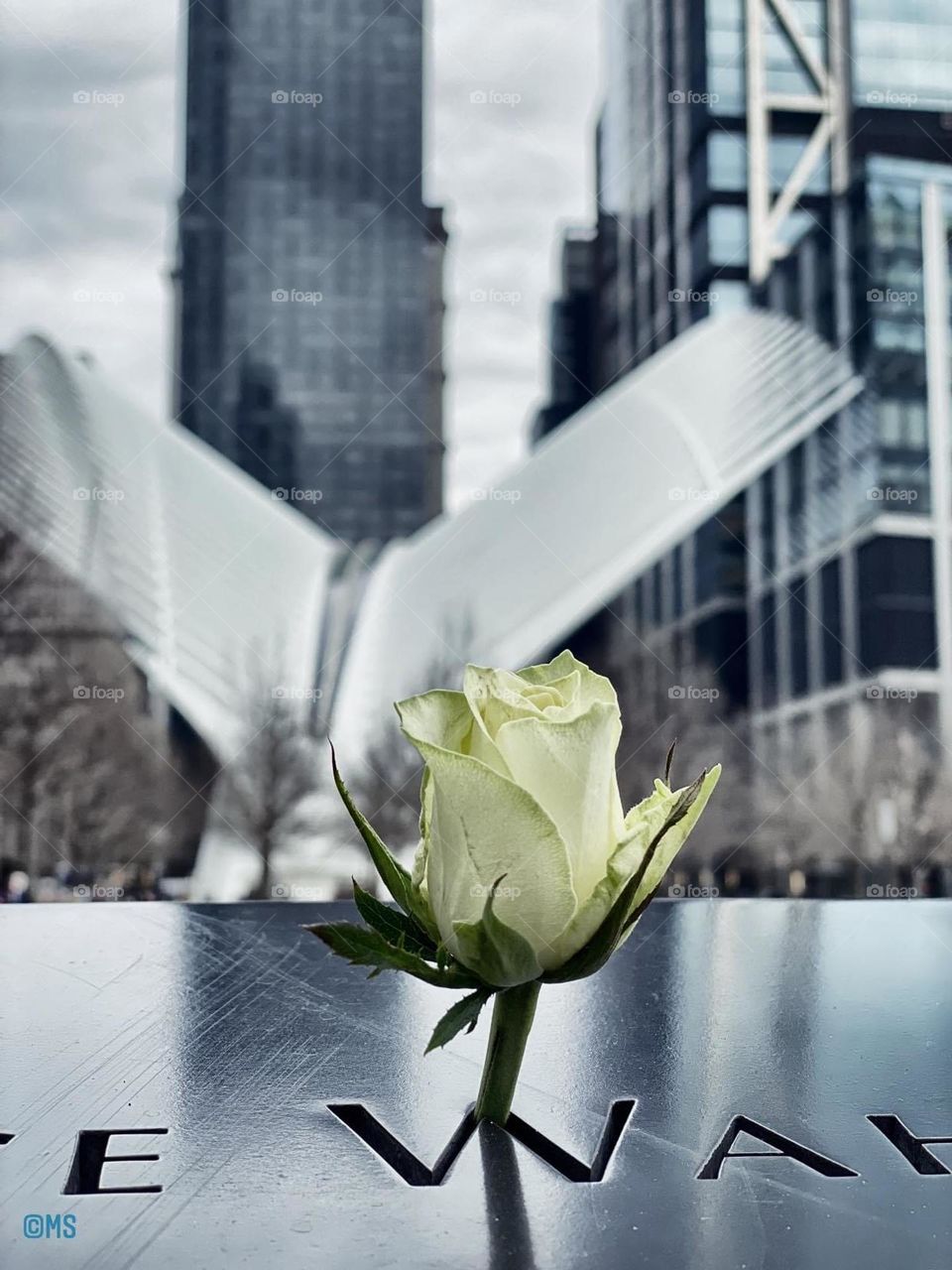 9/11 Memorial in NYC. There are no words to describe the energy I felt around this place. 