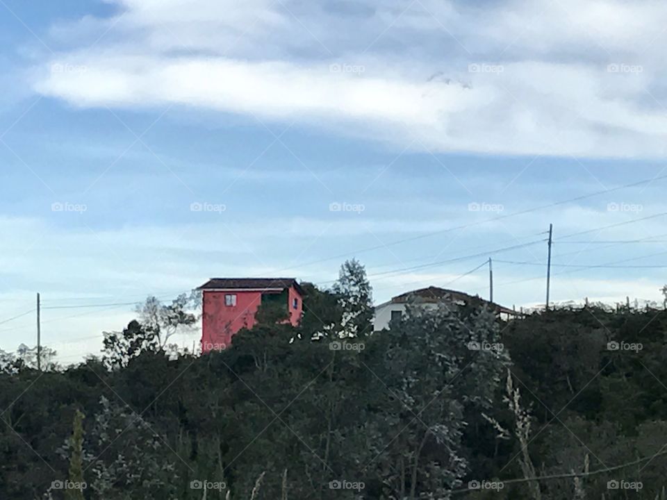 The pink house in the middle of the woods 
